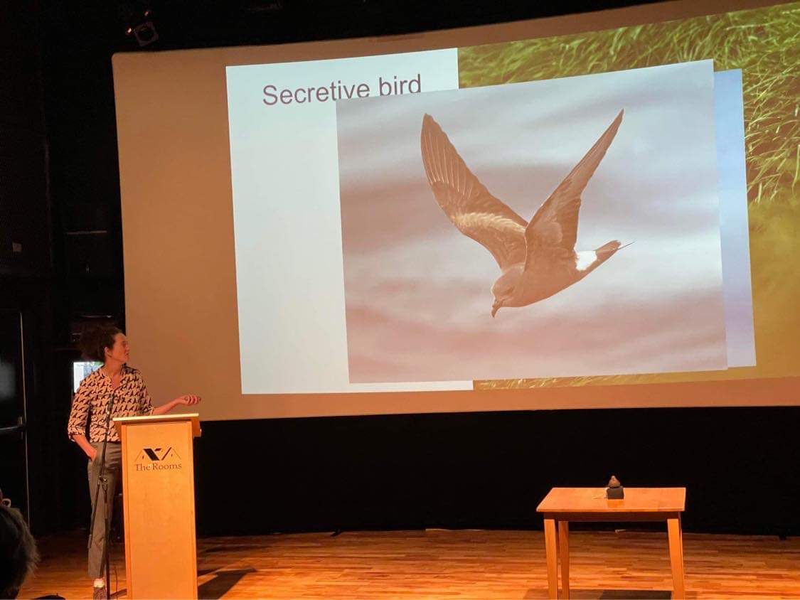 Incredible talk given by our own PhD student Fiona and folklore student Karin Murray-Bergquist <a href="/TheRooms_NL/">The Rooms</a> on the significance of #stormpetrels to NL culture and ecology and the threats they currently face #conservation