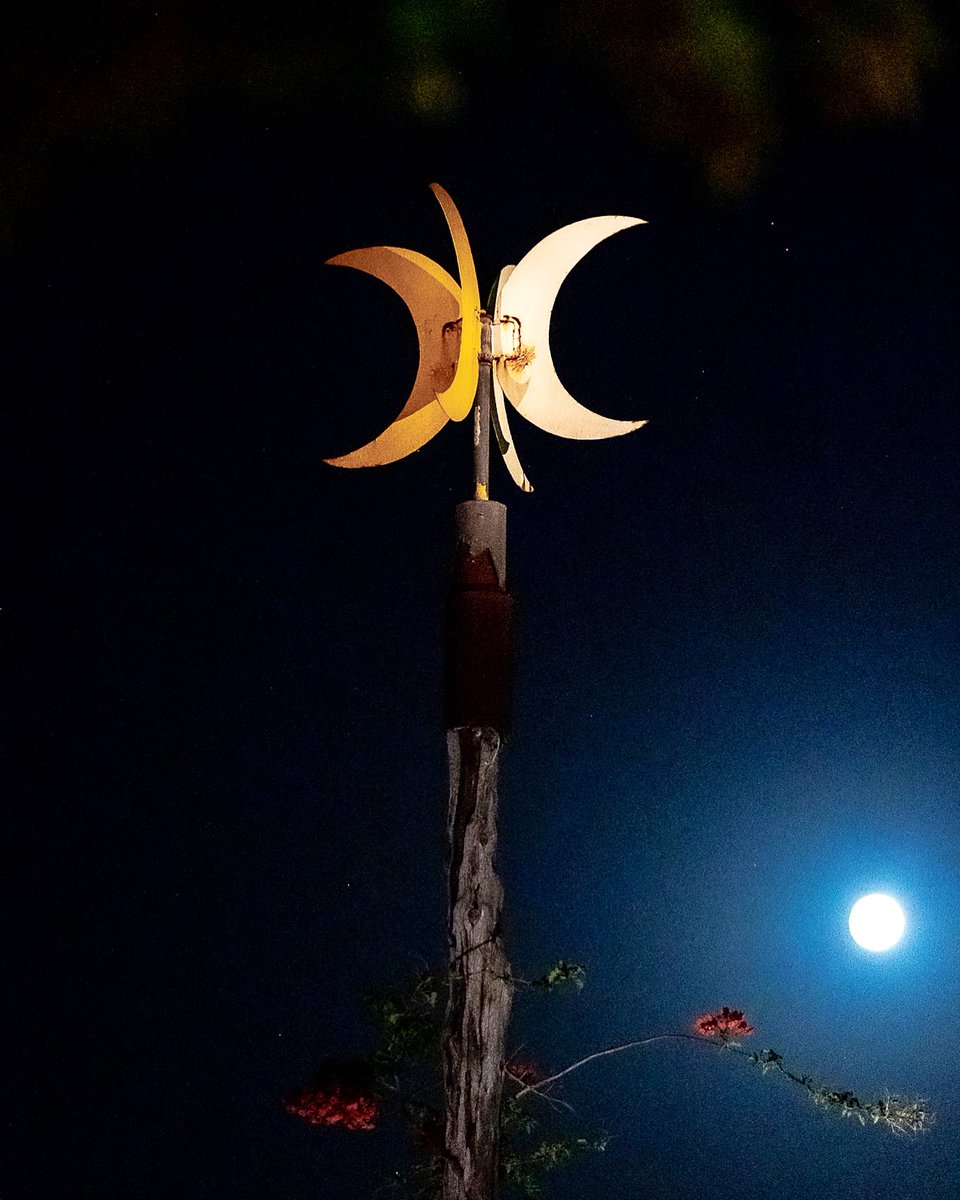lasdoslunasIBZ's tweet photo. Fly me to the moon, let me sing among the stars ✨🌛🌜✨

💻 https://t.co/mYcU5ZA7I9
📞 +34 971 19 81 02

——————
#LasDosLunas #Ibiza #restaurant #restaurante #mediterráneo #dinner #finedining #ibiza❤️ #ibizastyle #ibizafood #romantic #lunallena #beautiful #ibizaguide #luna #moon https://t.co/e52UEKIbdp