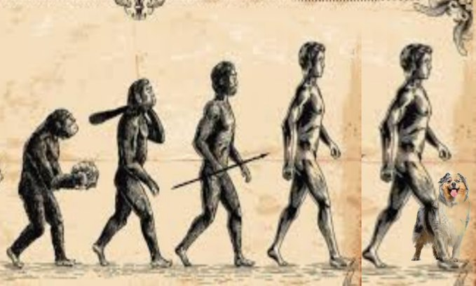 Service1Crypto's tweet image. Evolution includes $ASS 🍑 #memecoin #Memes #Crypto #Bitcoin #BNB #BSC #ETH  #ADA #memeslover