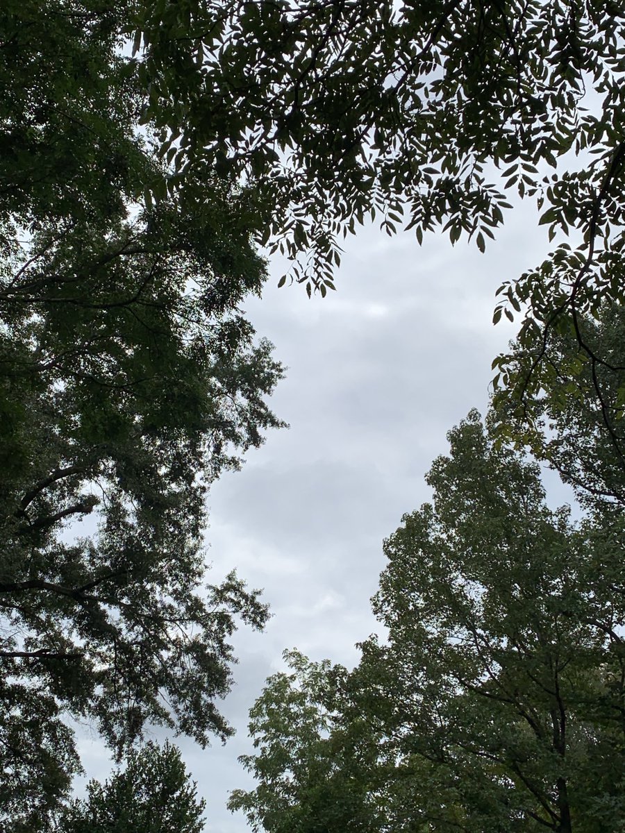 okamoto_sandra's tweet photo. Good morning, Columbus! #ColumbusGA #mydailyphoto #09/12/2022 #2022project #completelycloudy #nosignofsun #warm&humid #nobreeze #60%chanceofrainforecast #birdssubdued #cicadasloud #neighborsdogsbarking https://t.co/PP81ciNr0u
