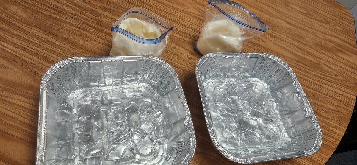 Ms Llamas (@llamas_3rdgrade) on Twitter photo We have been learning about Animal Adaptations and my dual language students were ready to test their knowledge. They were excited to discover about "blubber"!
@AldineDual <a href="/ErmelES_AISD/">Ermel Elementary</a> We have been learning about Animal Adaptations and my dual language students were ready to test their knowledge. They were excited to discover about "blubber"!
@AldineDual <a href="/ErmelES_AISD/">Ermel Elementary</a>