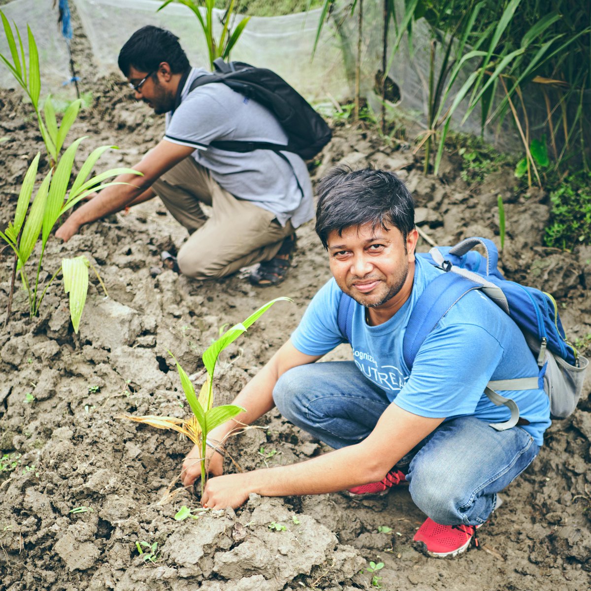 Cognizant's tweet photo. As part of our #MyNetZero #sustainability actions in which 15,000+ associates participated in 40+ countries, teams across India planted 10,000 trees - sequestering π³ CO2 and producing ππ fruit each year. https://t.co/iUYDL1zOBc