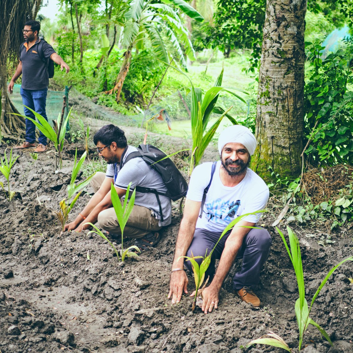 Cognizant's tweet photo. As part of our #MyNetZero #sustainability actions in which 15,000+ associates participated in 40+ countries, teams across India planted 10,000 trees - sequestering π³ CO2 and producing ππ fruit each year. https://t.co/iUYDL1zOBc