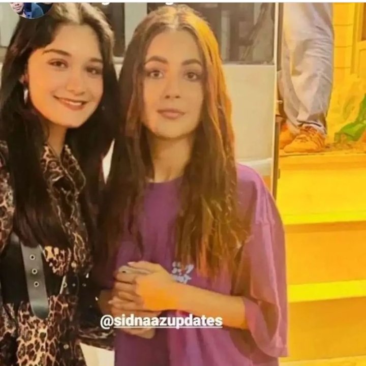 Shehnaaz Family tweet media