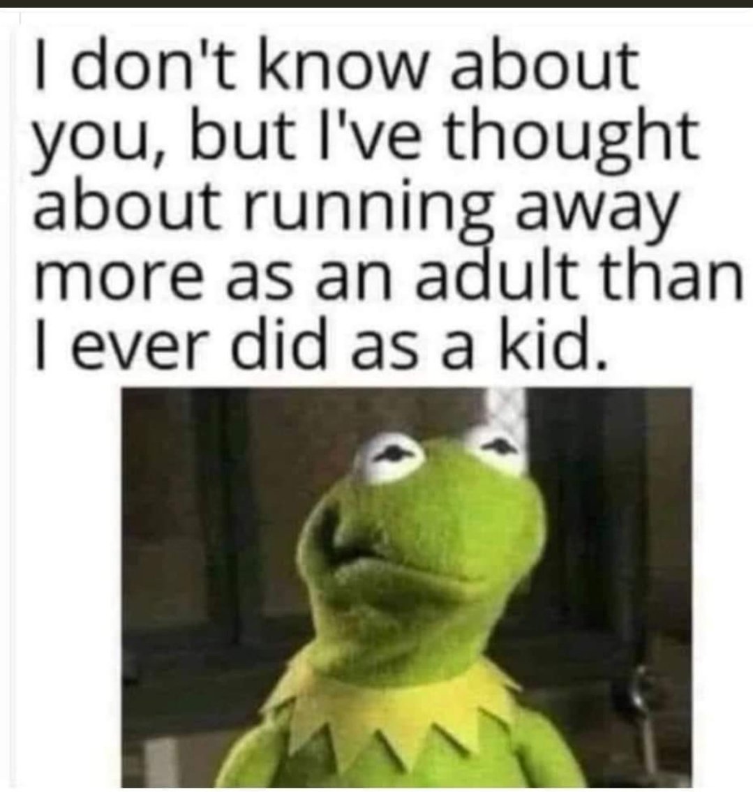 loveandlaugh56's tweet image. Yep lol. I'm tired playing this grow up game 🤣where can I run away 2?  Anyone else tired?