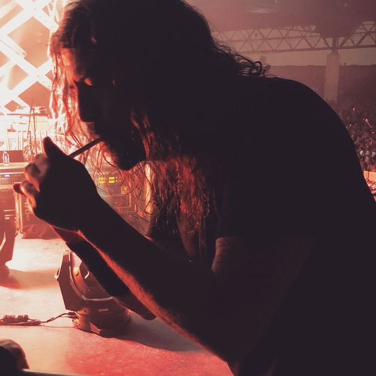 dave grohl pics (@dailygrohhl) on Twitter photo 