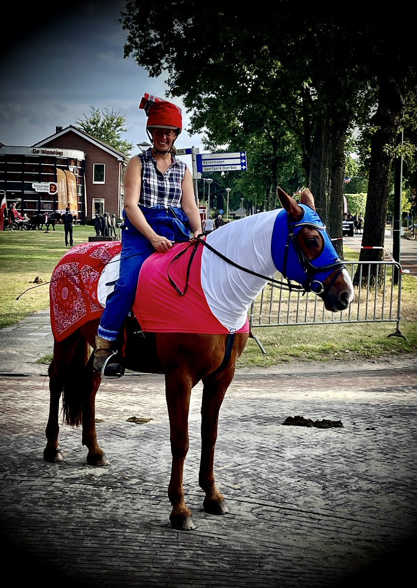 Actiepaard gespot op de #Roldermarkt geweldig