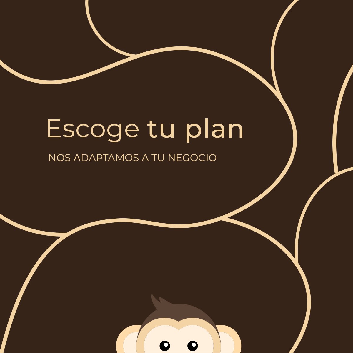 _MonkeySuite's tweet photo. Escoge el plan de #MonkeySuite que más se adapte a tu empresa 💻🐵

¡Disponemos de diferentes tarifas! Además te ofrecemos módulos individuales para ampliar el servicio.

En Monkey Suite nos adaptamos a tus necesidades, ¿qué plan eliges para tu negocio? 🤔

#erp #software https://t.co/i8WUEZxhuM