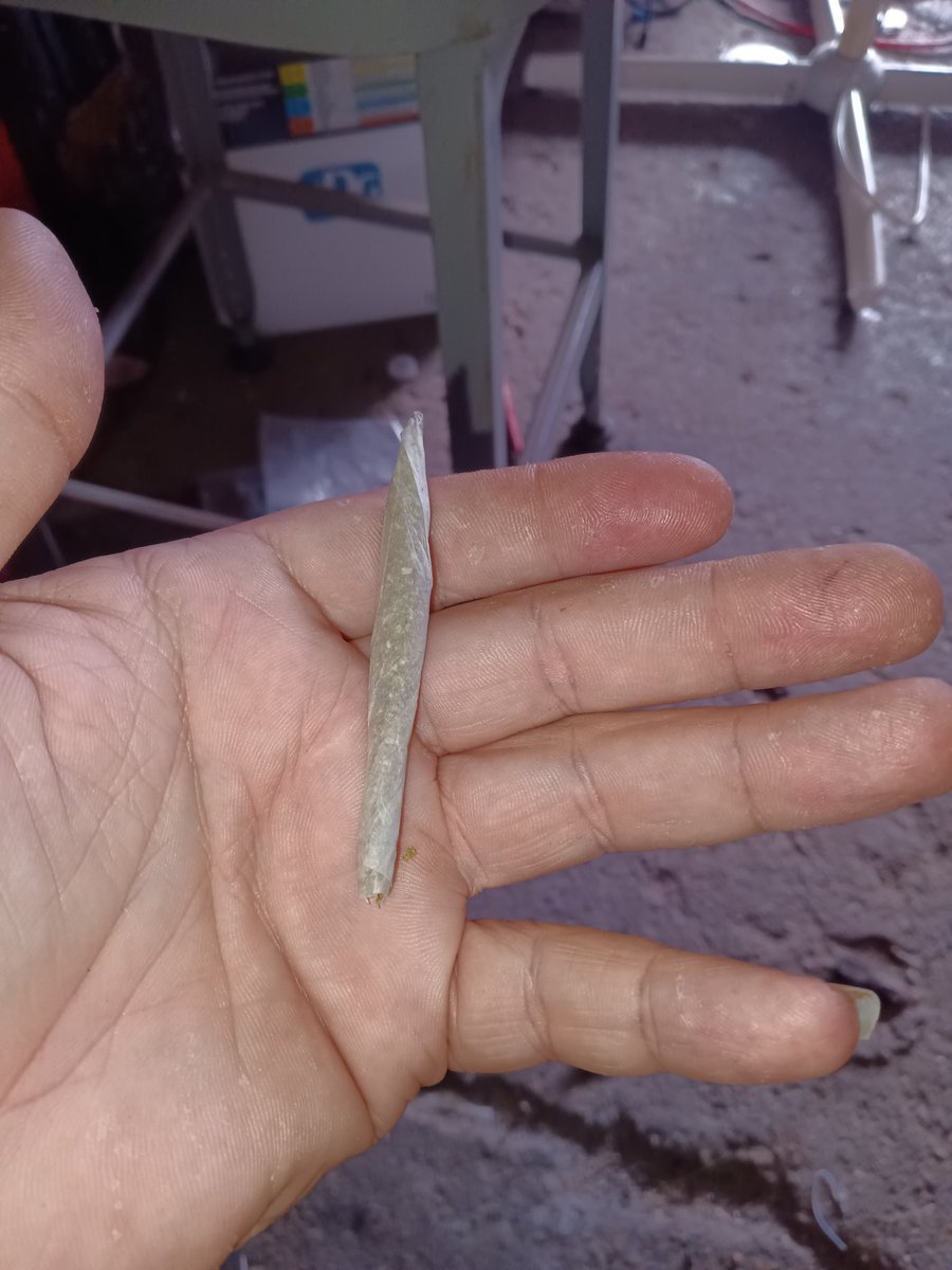 D3ATHL0RDTTV's tweet photo. To all my stoners out there #trxppiestone #sjapollo #yaboi420 https://t.co/xPSqO9j2Ch