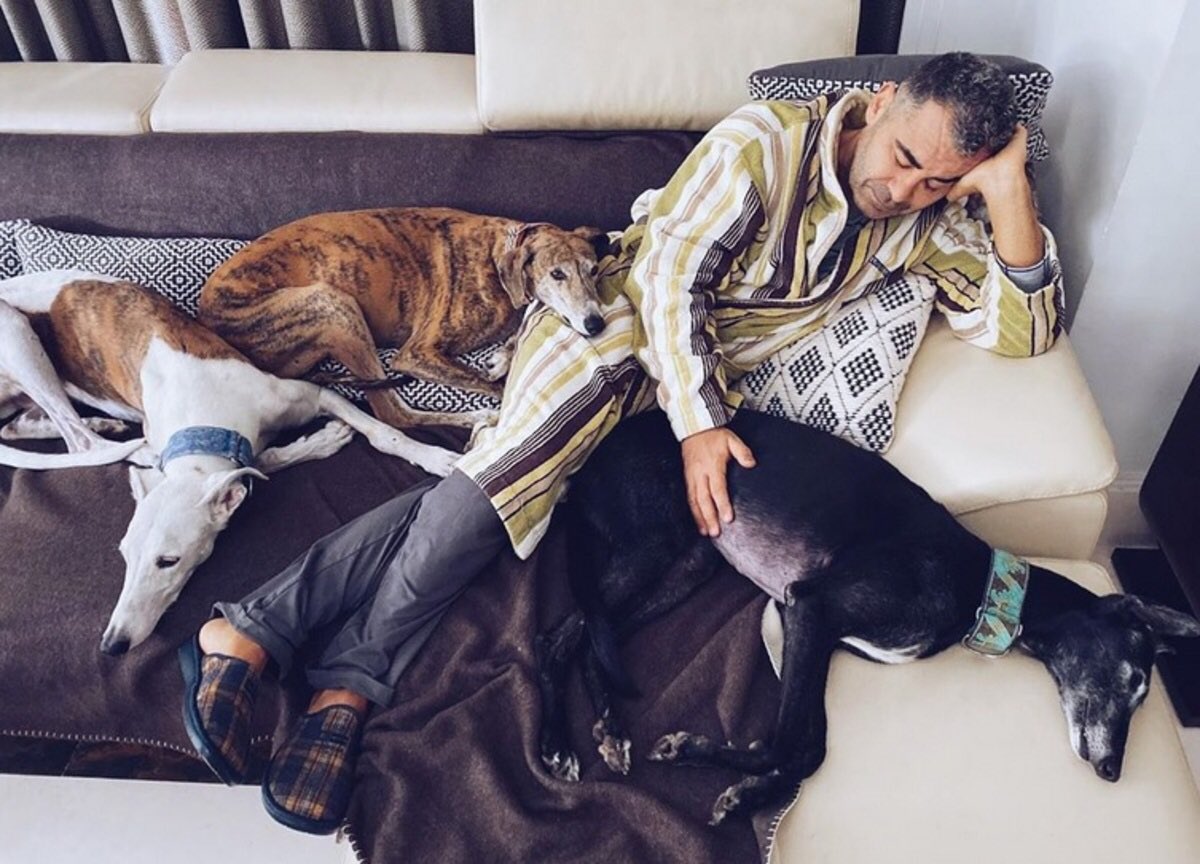 Jorge Javier Vázquez tweet media