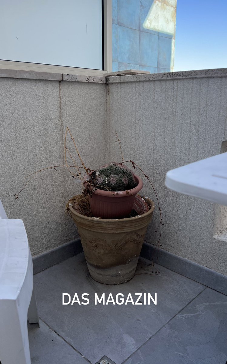 Jeremias Dubno tweet media