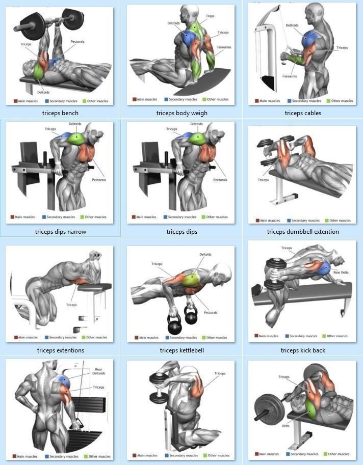 PhysioeaseT's tweet photo. Exercises for triceps muscles #HealthyLiving 
#fitness #physiotherapy https://t.co/yFMIseaOvy
