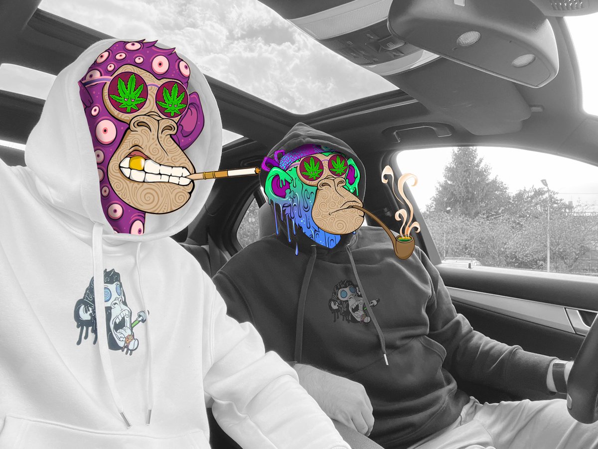 uher.S◎L 🚀 tweet media