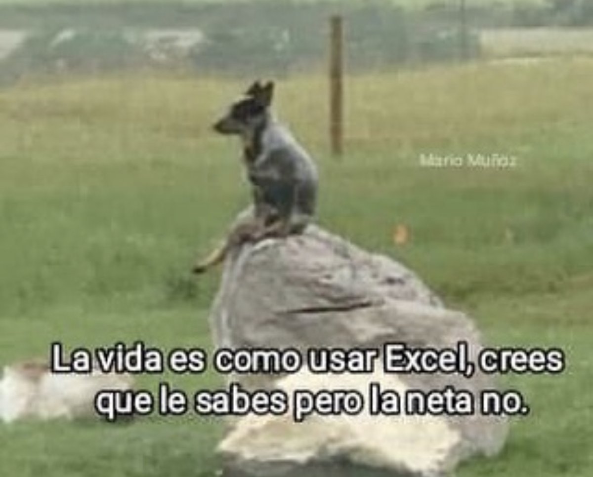 Guarromantico_'s tweet photo. https://t.co/hwz8PqOpeo