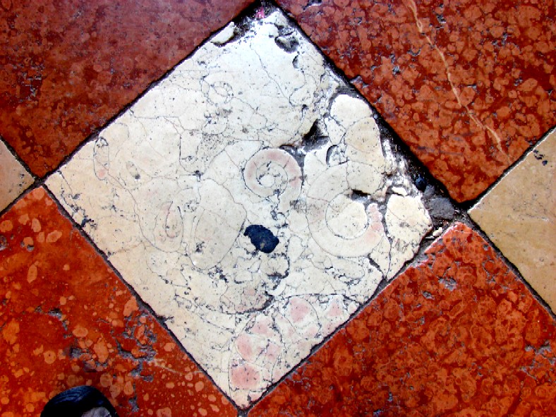 geotripper's tweet photo. @diego__vicente @pavementgeology What I found in Verona and Venice a few years back. https://t.co/s363TbVQY9