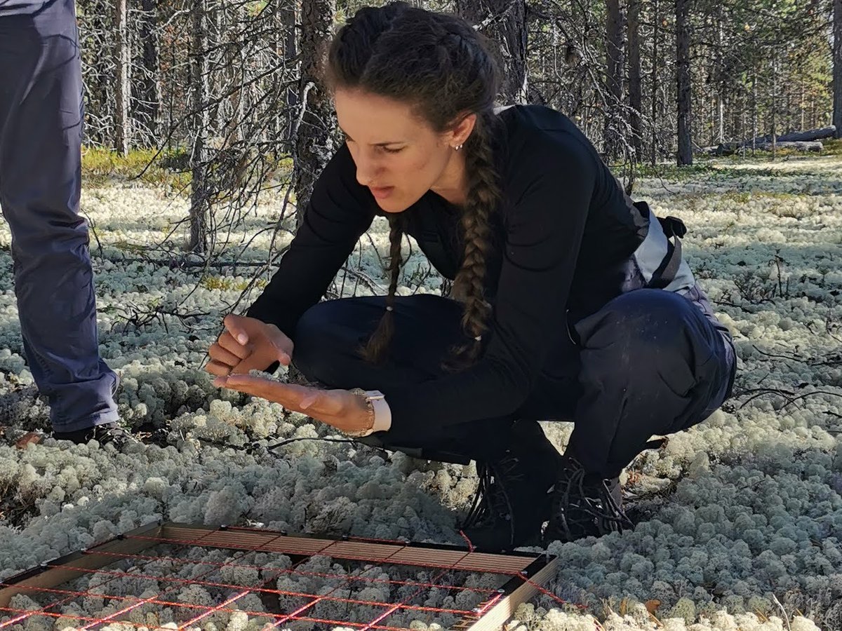 marianarmorgado's tweet photo. Had the best time and learnt a lot in #Lapland in the Research and #fieldmethods in #physicalgeography and #geoinformatics course from @UniEastFinland! Thank you @TimoKumpula1 @MiguelVillosPe @Thaisafb1 @Benjamin_Brkhrd @logan_berner @franniwolff Alex Störmer https://t.co/0zK1eyeeUp