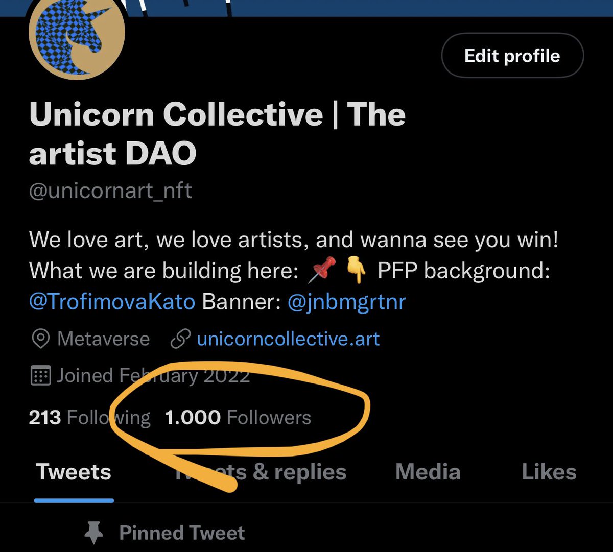 Unicorn Collective / SONA tweet media