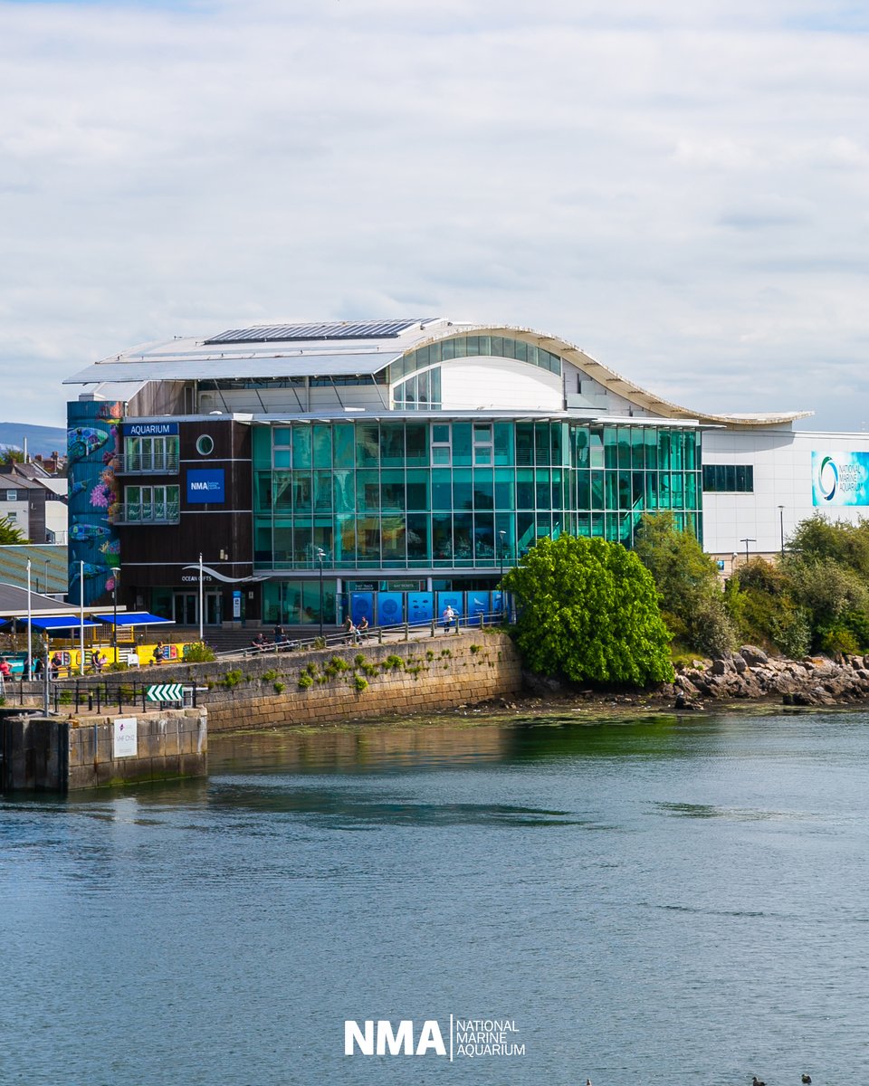 Important announcement
The National Marine Aquarium will be closed for the state funeral of Her Majesty the Queen on Monday the 19th of September 2022. We will reopen as usual from Tuesday the 20th of September onwards.