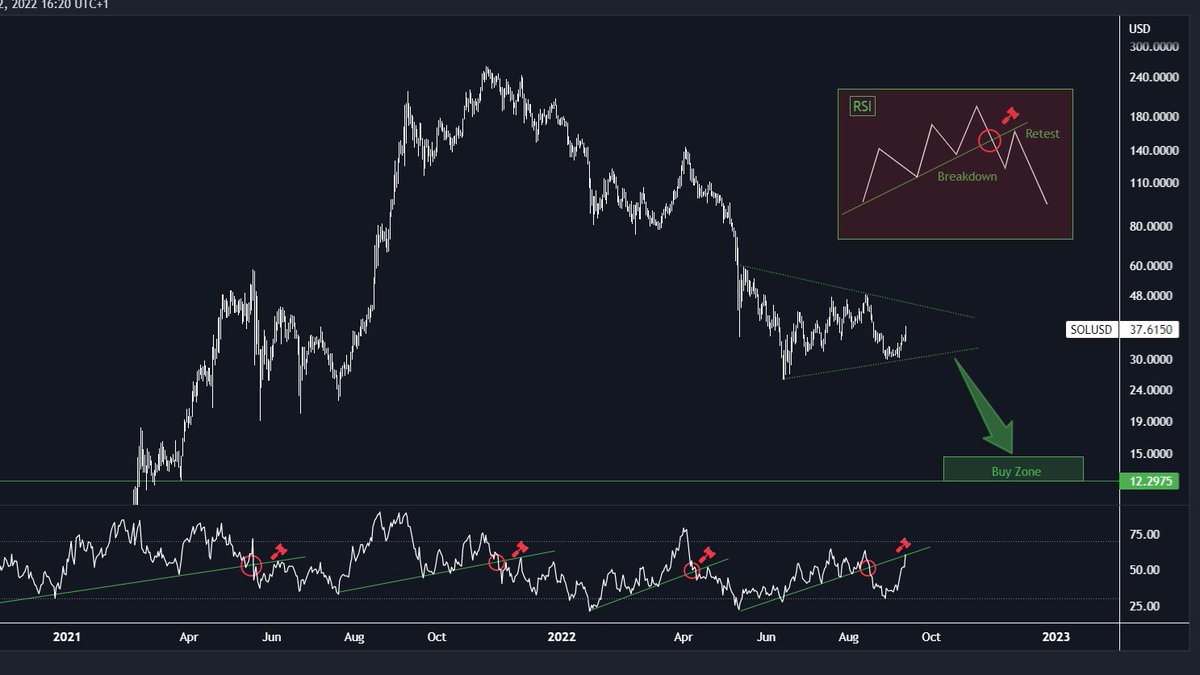 MEGA BULLISH on Solana $SOL in the next bull market.