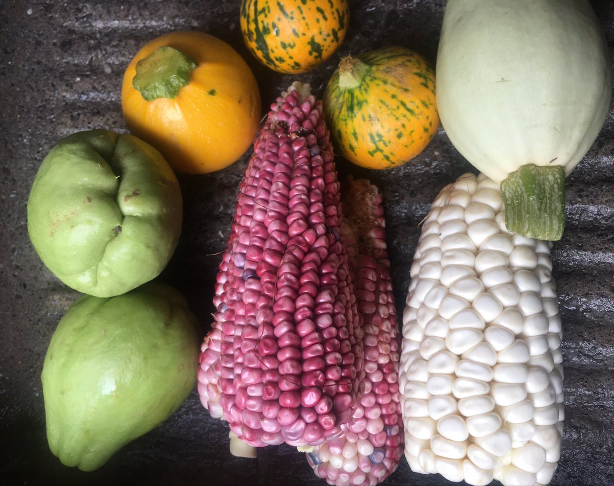 JoseCelisMX's tweet photo. Algo que disfruto de trabajar en casa es la oportunidad de cocinar. Aquí ingredientes que conseguí ayer en el Mercado de Xochimilco 🌞 #DaleChamba @WWF_Mexico @XochimilcoAl @SedecoCDMX @FadlalaAkabani @lorenaharp https://t.co/ahNRb86QHA