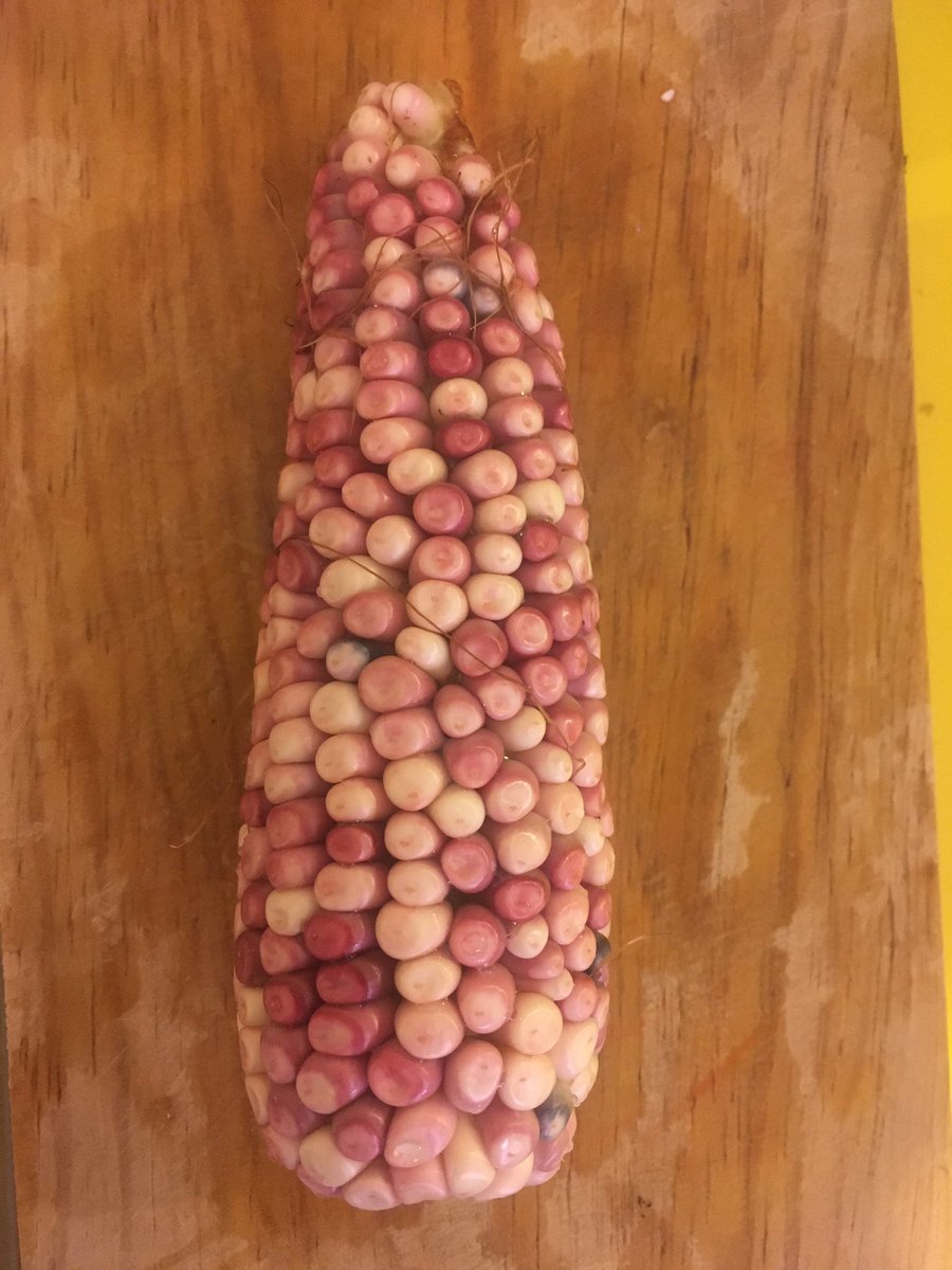 JoseCelisMX's tweet photo. Algo que disfruto de trabajar en casa es la oportunidad de cocinar. Aquí ingredientes que conseguí ayer en el Mercado de Xochimilco 🌞 #DaleChamba @WWF_Mexico @XochimilcoAl @SedecoCDMX @FadlalaAkabani @lorenaharp https://t.co/ahNRb86QHA