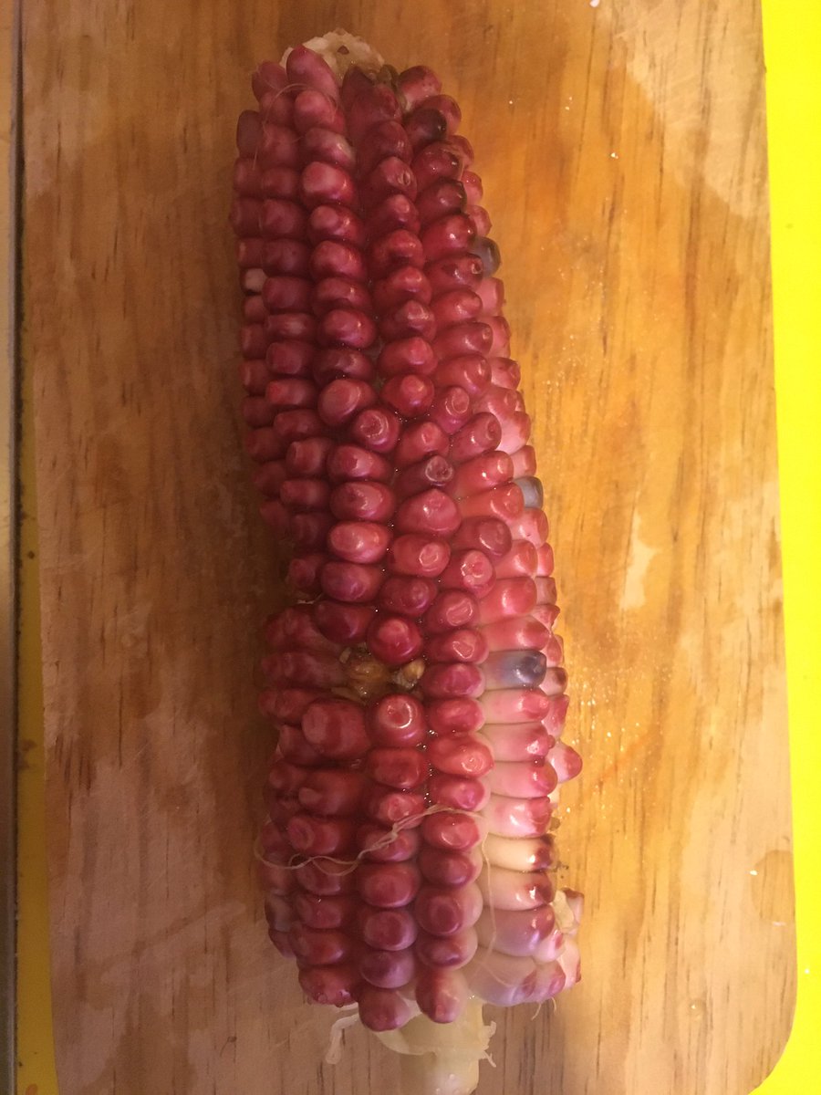 JoseCelisMX's tweet photo. Algo que disfruto de trabajar en casa es la oportunidad de cocinar. Aquí ingredientes que conseguí ayer en el Mercado de Xochimilco 🌞 #DaleChamba @WWF_Mexico @XochimilcoAl @SedecoCDMX @FadlalaAkabani @lorenaharp https://t.co/ahNRb86QHA