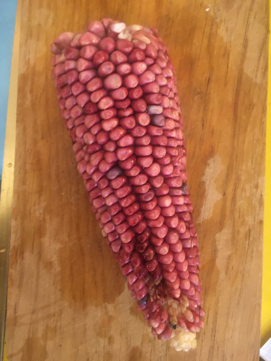JoseCelisMX's tweet photo. Algo que disfruto de trabajar en casa es la oportunidad de cocinar. Aquí ingredientes que conseguí ayer en el Mercado de Xochimilco 🌞 #DaleChamba @WWF_Mexico @XochimilcoAl @SedecoCDMX @FadlalaAkabani @lorenaharp https://t.co/ahNRb86QHA