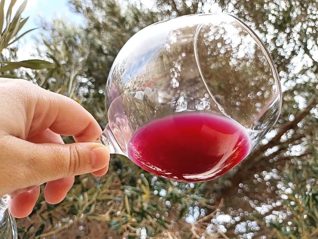 yessamarc's tweet photo. 🌱🍇🍇🍇🍇🍷Comenzamos la semana con el prensando #tintilla2022, fruto de una jornada de vendimia nocturna. Tic tac!! In progress... #bodegamunicipal #señoríodeagüimes #agüimes #enología #viticultura https://t.co/5nBj7ZMhwa