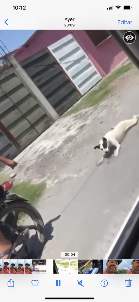 Gobernador de Morelos <a href="/cuauhtemocb10/">Cuauhtémoc Blanco</a> solicitamos q se detenga al agresor de una perrita que fue arrastrada con motocicleta además con menor de edad a bordo en Coatetelco Morelos, queremos a la perra viva, o les vamos hacer una PERRA marcha en Palacio de Gobierno, ES NETA YA BASTA