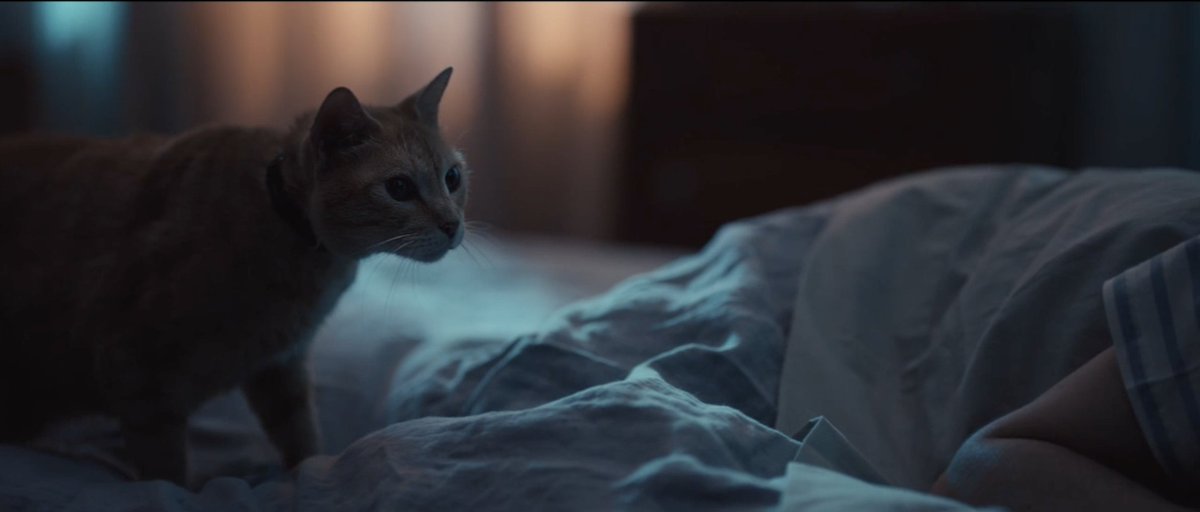 JSM MUSIC tweet media