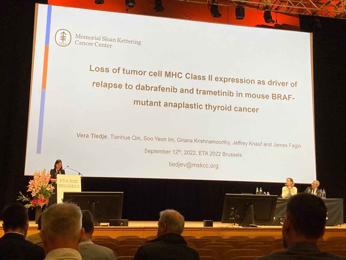 inigo_landa's tweet photo. Fantastic talk at the ⁦@ETA_Thyroid⁩ meeting by Dr Vera Tiedje, a superstar in thyroid cancer research from Jim Fagin’s lab ⁦@MSKCancerCenter⁩ 

Photo credits: Dr Leandro (⁦@sepoasal⁩). 

Big head on the bottom right courtesy of Dr Landa 😀🙋🏻‍♂️ https://t.co/OPNk0cvmMg