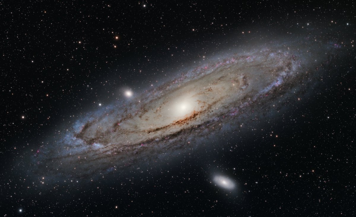 Tom Bock tweet media