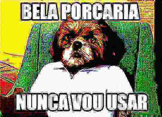 Devs da DSI: *apresentam uma atualização para o fénix*
Direção da DSI: