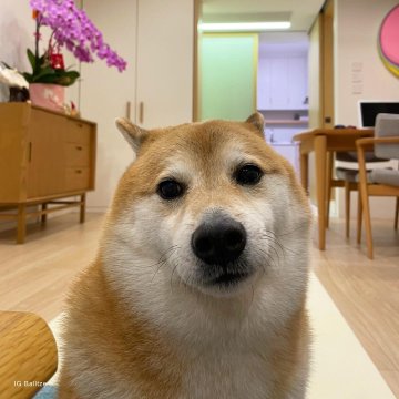 AthenaIntern's tweet photo. henlo https://t.co/fgKBTijAYd