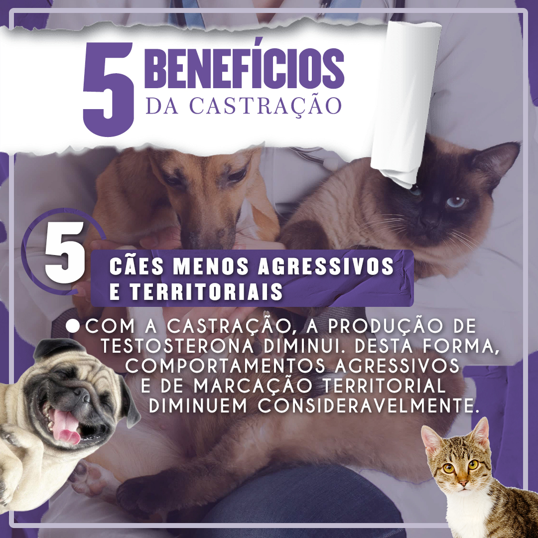 linktr.ee/FalcaoEmmanuel