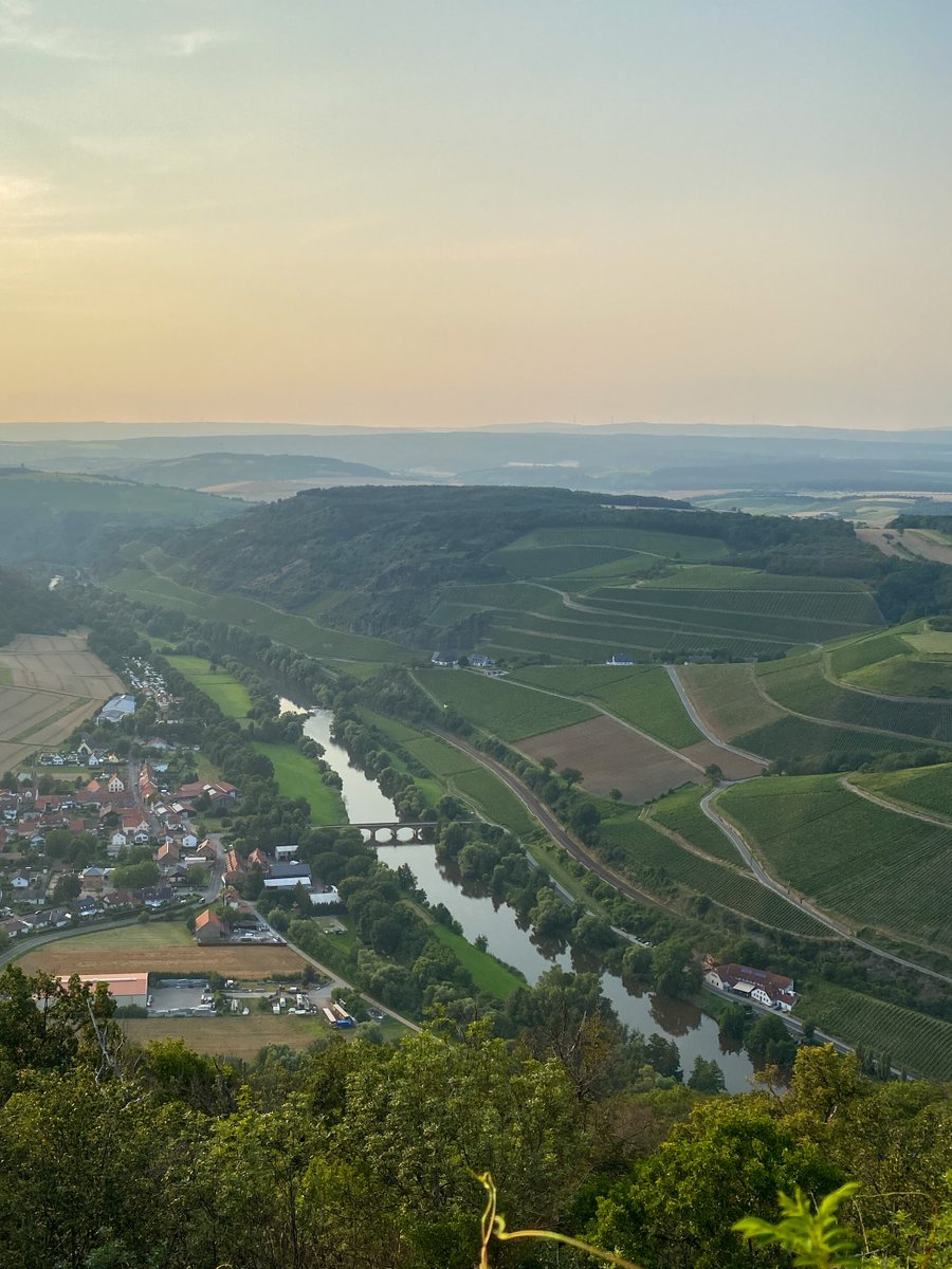 Youth for the Rhine tweet media