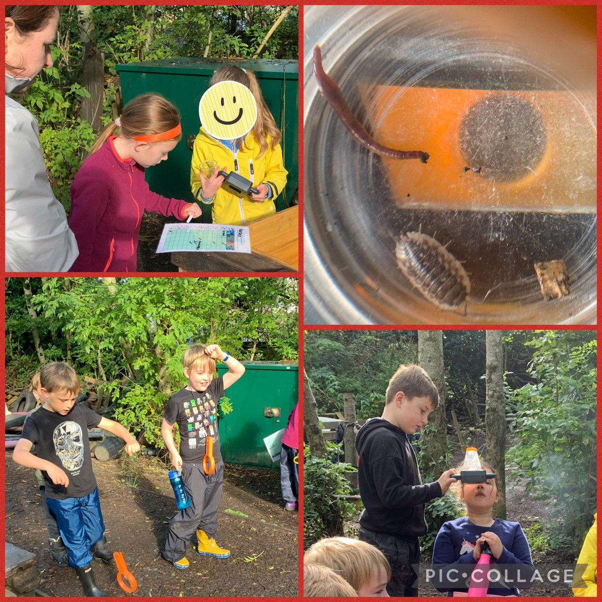 StJosephsERC's tweet photo. Primary 4b had the best time at Off Grid today, searching for invertebrates, building dens, cooking up a storm, and making fires! What a great way to spend the morning! #confidentindividuals #ercstem #outdoorlearning @ERC_STEM https://t.co/0yl0DA2TQr