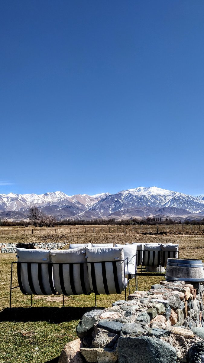LamuchiWines's tweet photo. Muy contentos porque nuestros #Vinos ya son parte del #ClubDeVinos de #LaCarrera #Tupungato y están disponibles para disfrutarlos junto al maravilloso paisaje 🍷🥂
#LaMuchiWines #LegadoDeFamilia 
#Mendoza #Enoturismo https://t.co/dxWMULwyYF