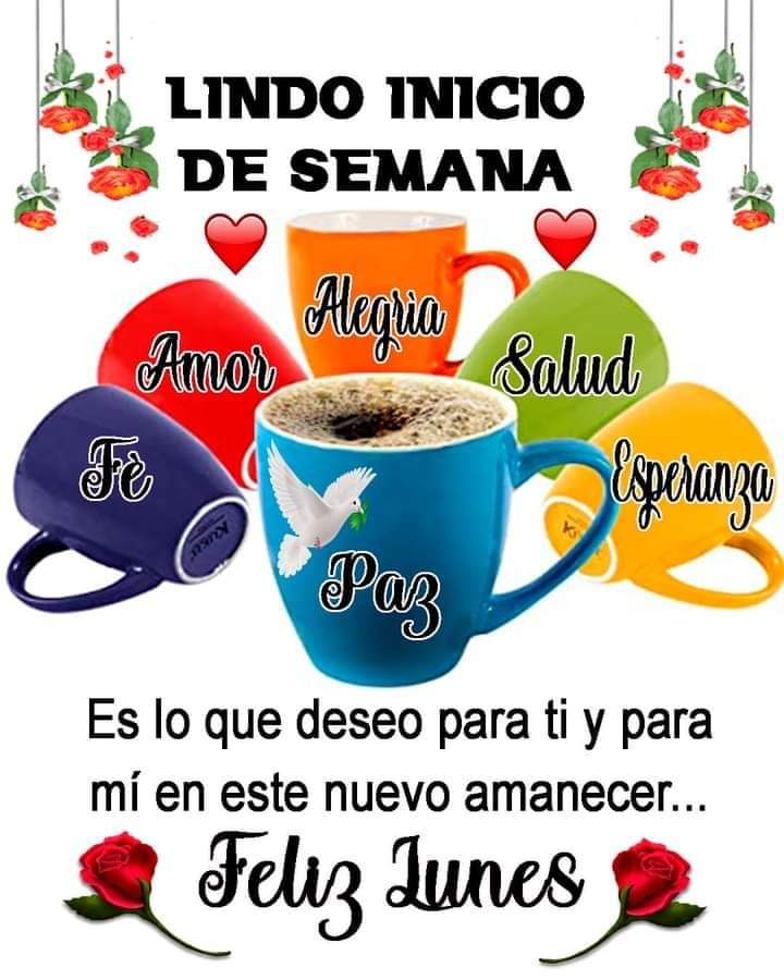 Lurdes Lopez (@lurdesl97496521) on Twitter photo 