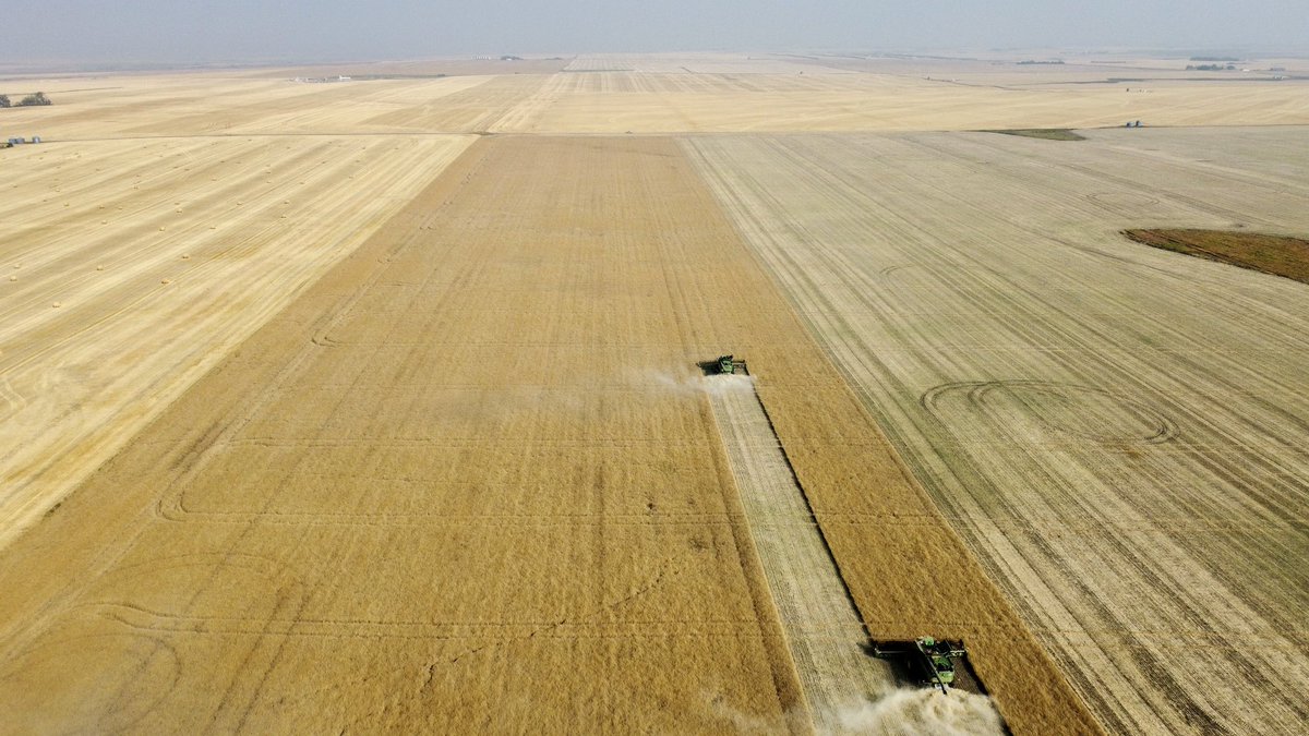 🎉🎉Late to the party, harvested my first <a href="/BASFAgSolutions/">BASF Agricultural Solutions Canada</a> #InVigor canola DST plot over the weekend! Curious about the yield results? Check out invigorresults.ca🙌🏼 Huge shoutout to our amazing grower cooperator Bertsch custom farms <a href="/Dirtfarmer_Jake/">Neil Bertsch</a>