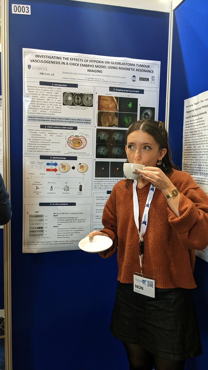 ElisabethNon's tweet photo. Presenting my first poster at the HypoxEU conference in Dublin 🍀
My research is currently focussing on the effects of hypoxia on tumour vasculogenesis, using the chick embryo model https://t.co/dekDyI1yFY