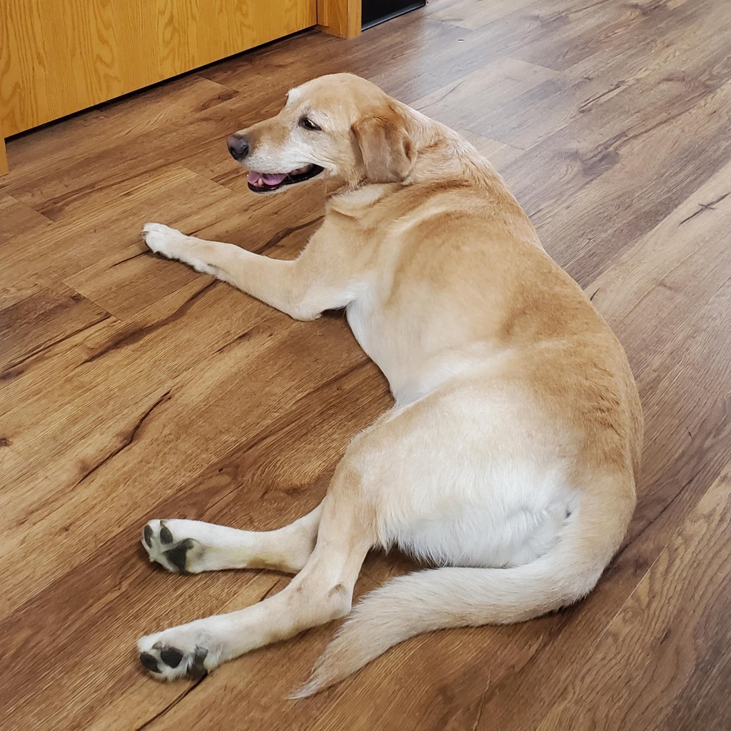 Kelmann Restoration tweet media