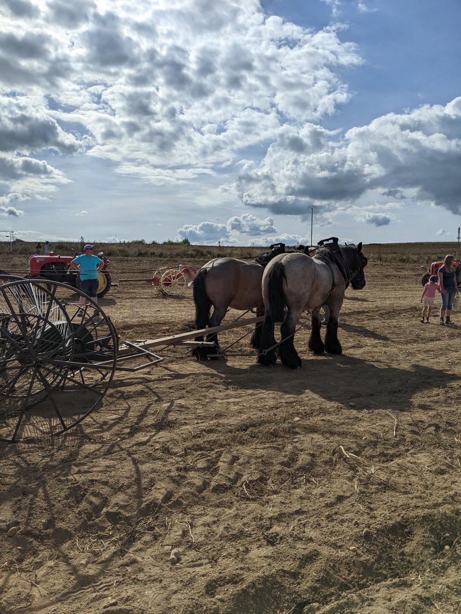 Some photos from Gromperefest in rural Luxembourg!

Gromperekichelcher was consumed, the Batti Patatti was spotted, and tractors were admired at the festival, which takes place annually nearby the Musée rural Binsfeld. 

#ruralstudies #rural #gromperfest #binsfeld #battipattati
