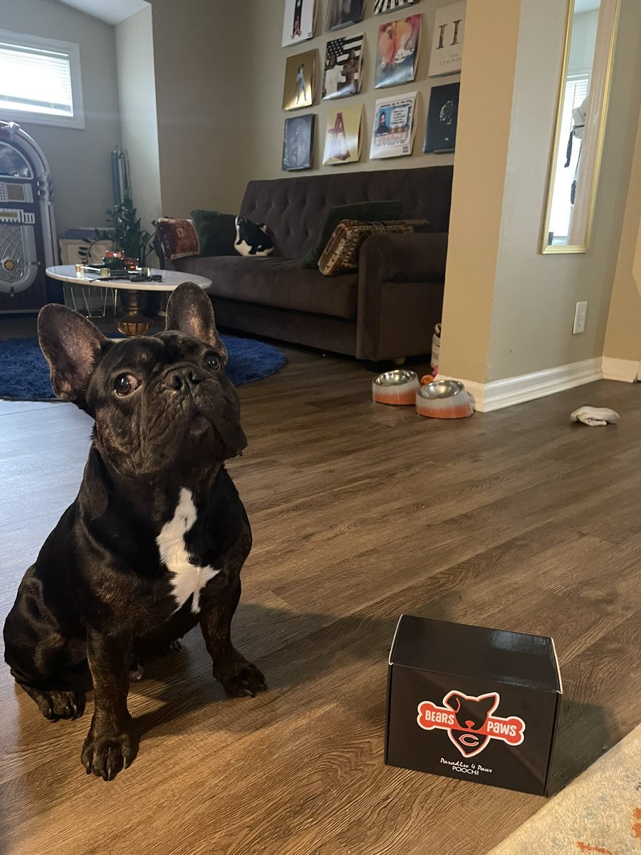 Only Da Bears tweet media