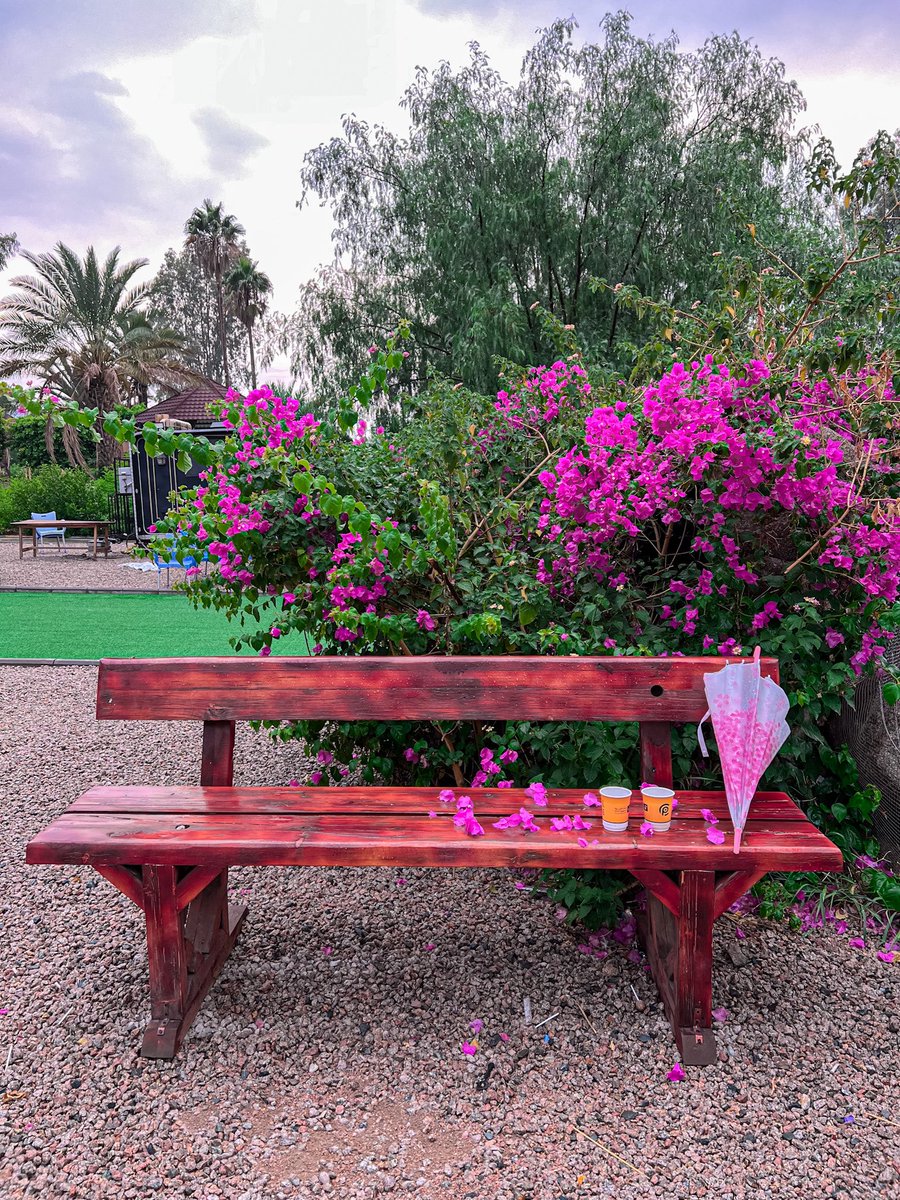 az_____z's tweet image. اجواء الطائف اليوم ورد ومطر 🤯💗💗💗