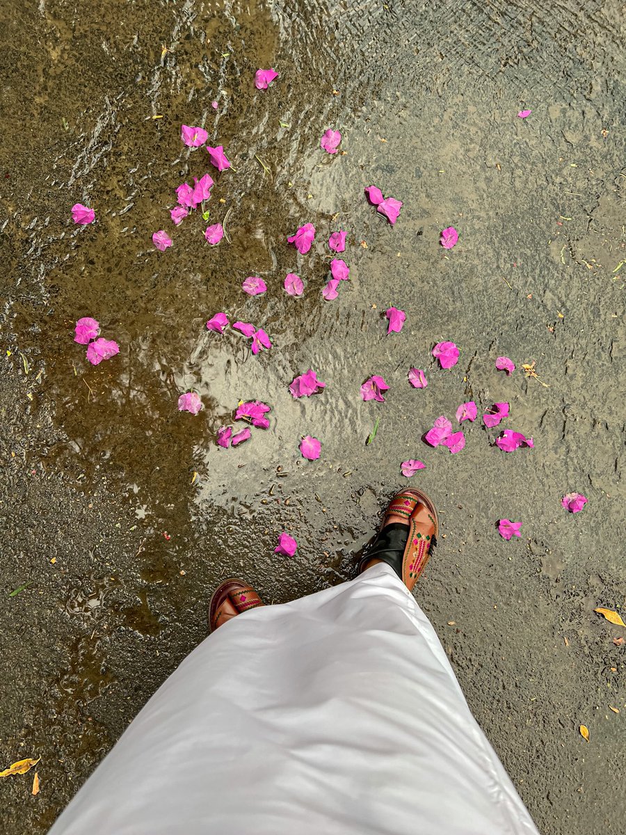 az_____z's tweet image. اجواء الطائف اليوم ورد ومطر 🤯💗💗💗