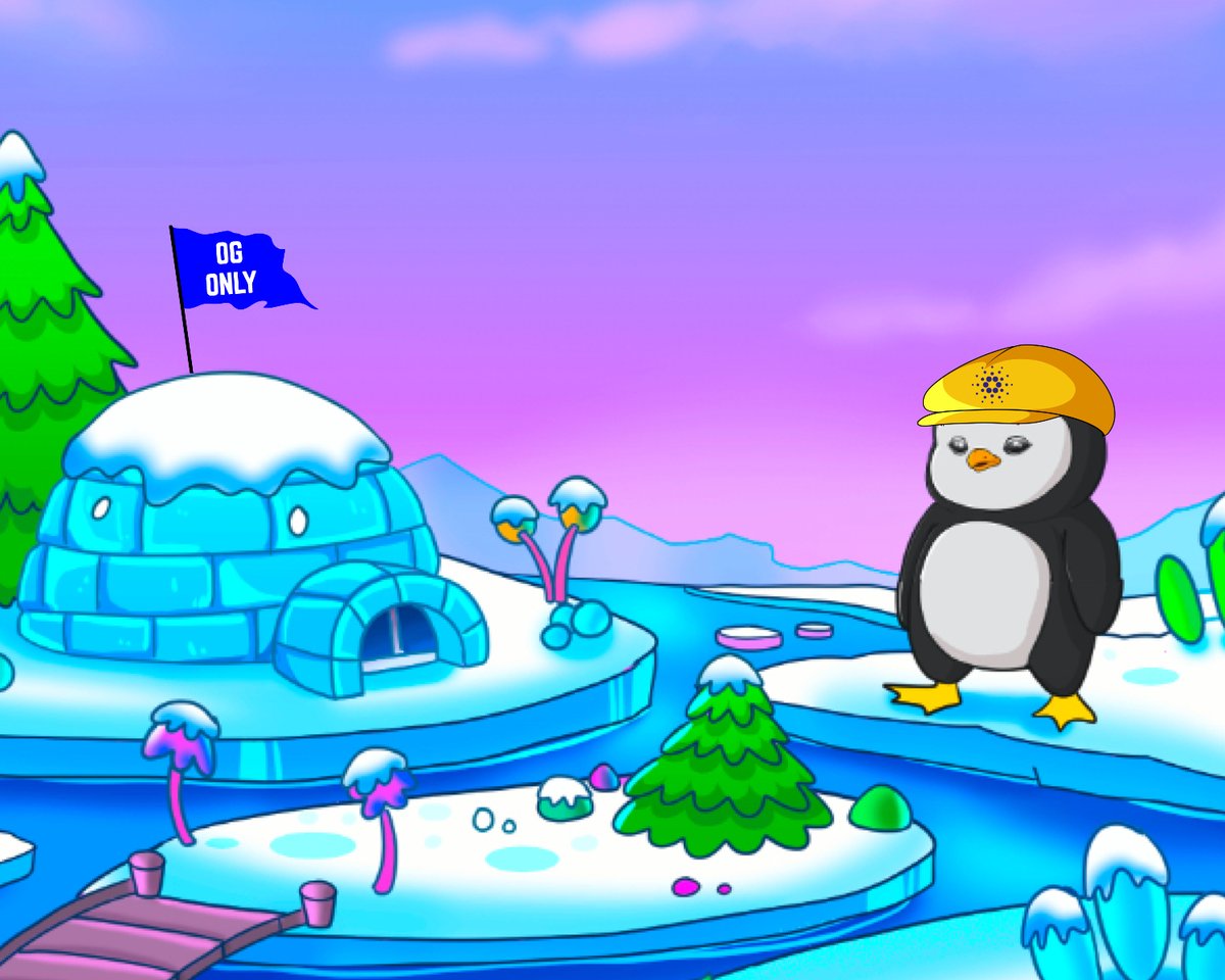 Plump Penguins tweet media