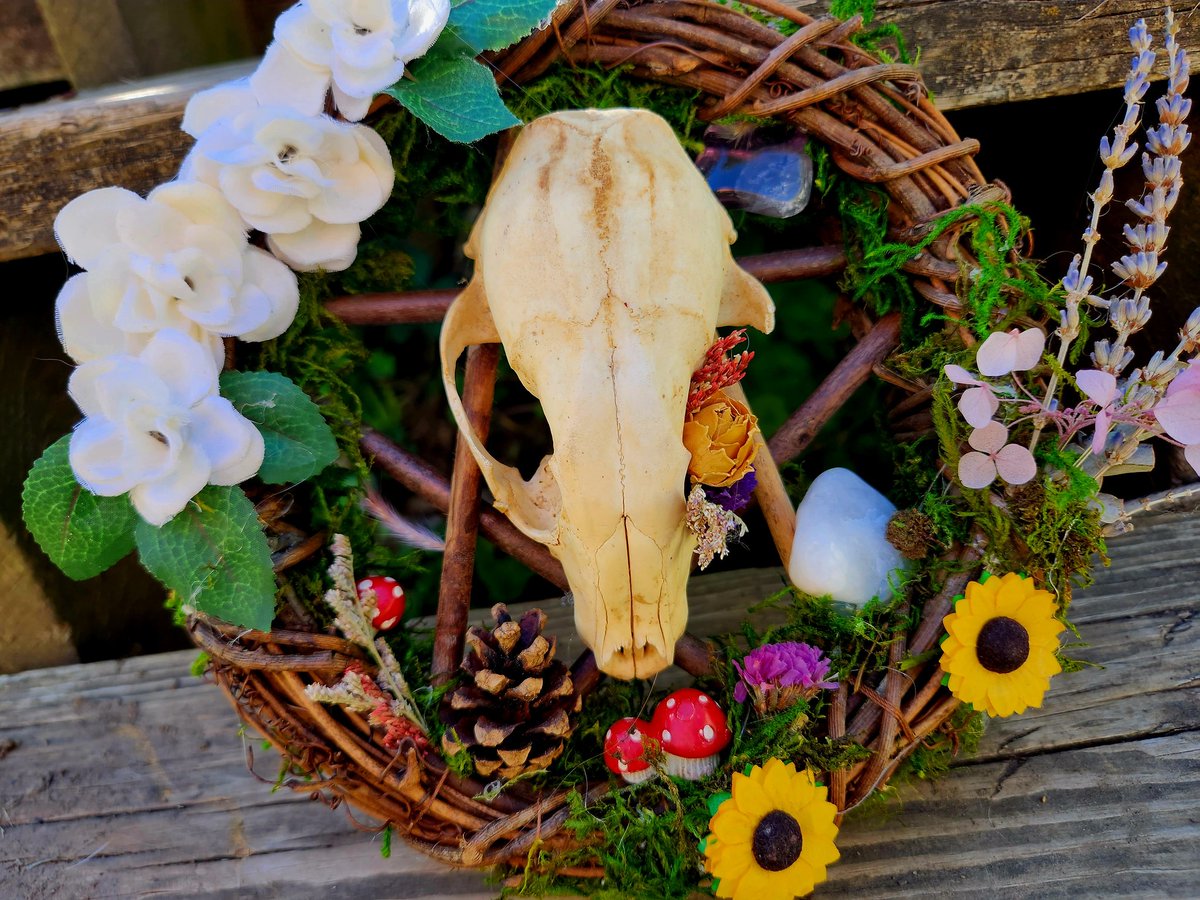 Sinovakitten's tweet photo. Decided to make my bone art again. Would be so awesome if you can retweet!! 🥰🥰
#crafts #boneart #animalskulls #oddities #wreath https://t.co/ChJKQ2LVqu