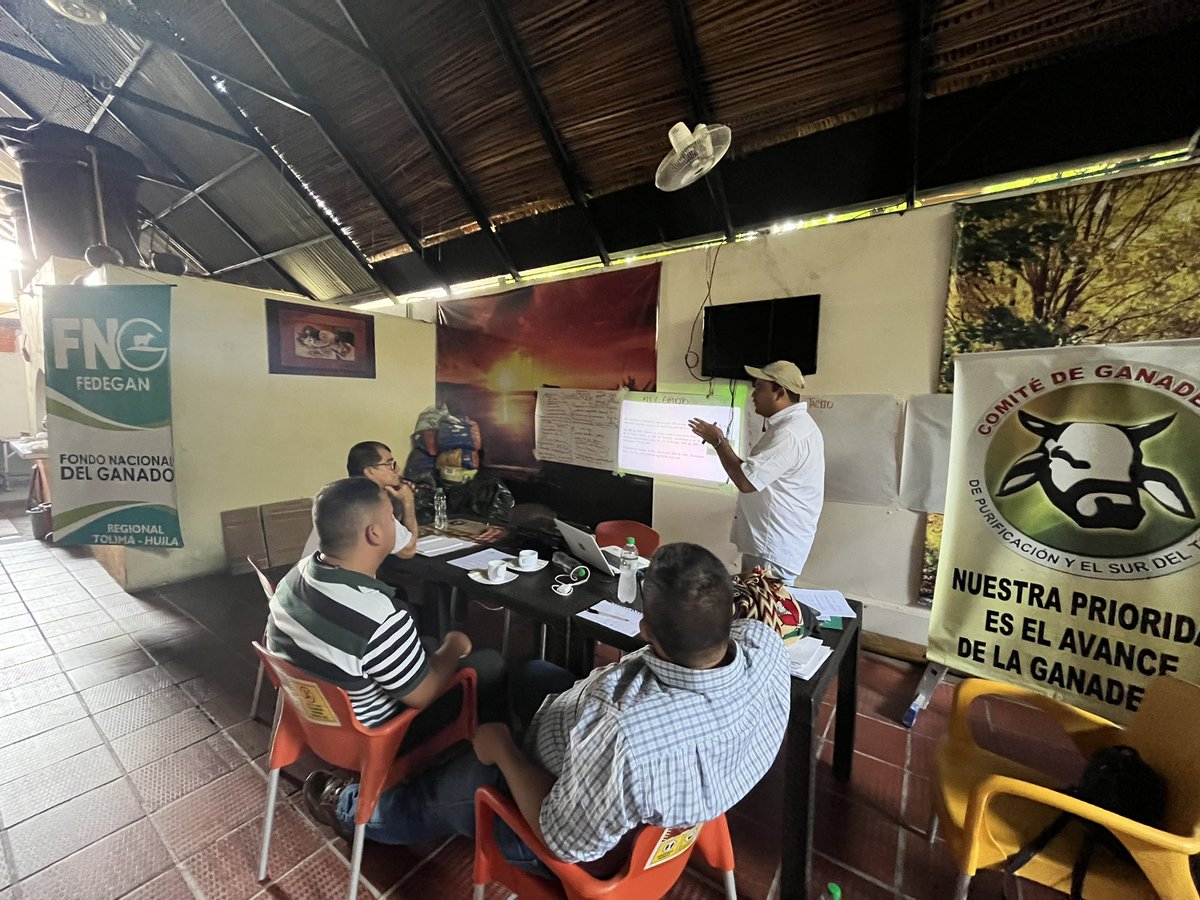 comitepuri's tweet image. Con el fin de garantizar un adecuado manejo del biológico contra la Aftosa y Brucela para los ganaderos en cada ciclo de vacunación, desarrollamos el taller de gestión de conocimiento en cadena de frío para los caveros del departamento del Tolima.
#OrgullosamenteGanaderos
