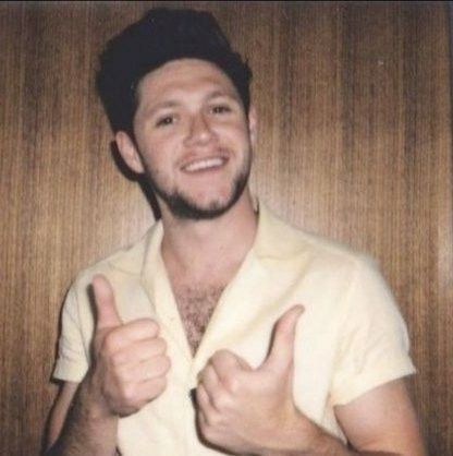 ReginaP1385's tweet photo. Happy birthday nialler https://t.co/EC8UMcJDJy